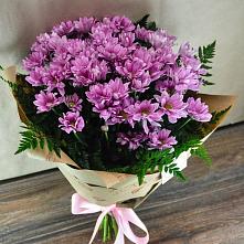 Букет цветов из:  Хризантемы #REPLACE_PRED# Усады