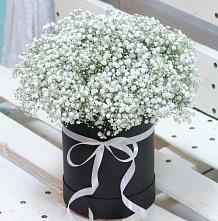 Цветочная композиция из Гипсофила в шляпной коробке #REPLACE_PRED# Усады