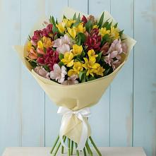 Букет цветов из:  Альстромерии #REPLACE_PRED# Усады