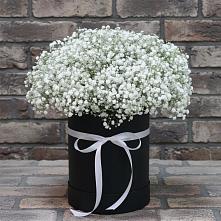 Цветочная композиция из Гипсофила в шляпной коробке #REPLACE_PRED# Усады