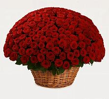 Премиум букет из: Розы в Усады