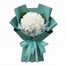 Букет цветов из:  Гортензия #REPLACE_PRED# Усады